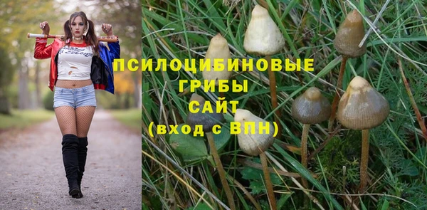 бутират Сатка