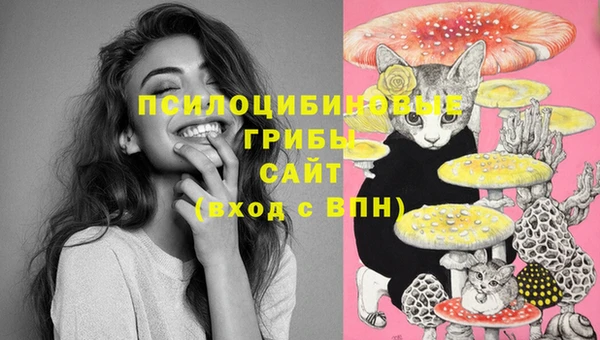 скорость Саяногорск