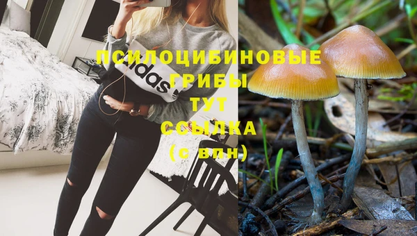 скорость Саяногорск