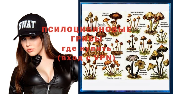 бутират Сатка