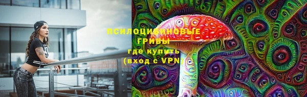 бутират Сатка