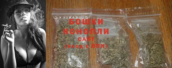 бутират Сатка