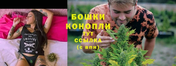 тгк Невельск
